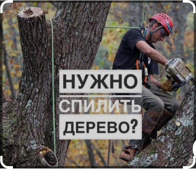 Спилить деревья, обрезать ветки, кронирование