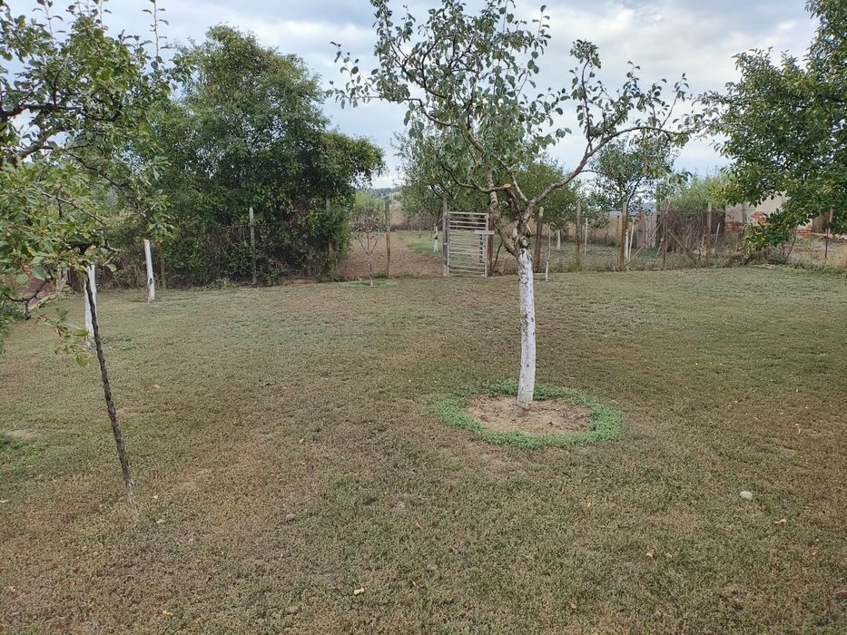 Дворно място в село Лозен,без ток и вода