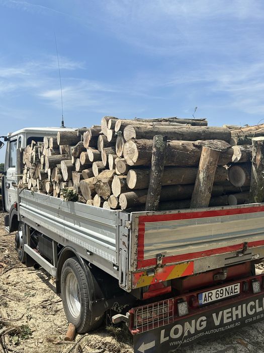 Lemne de foc esenta tare