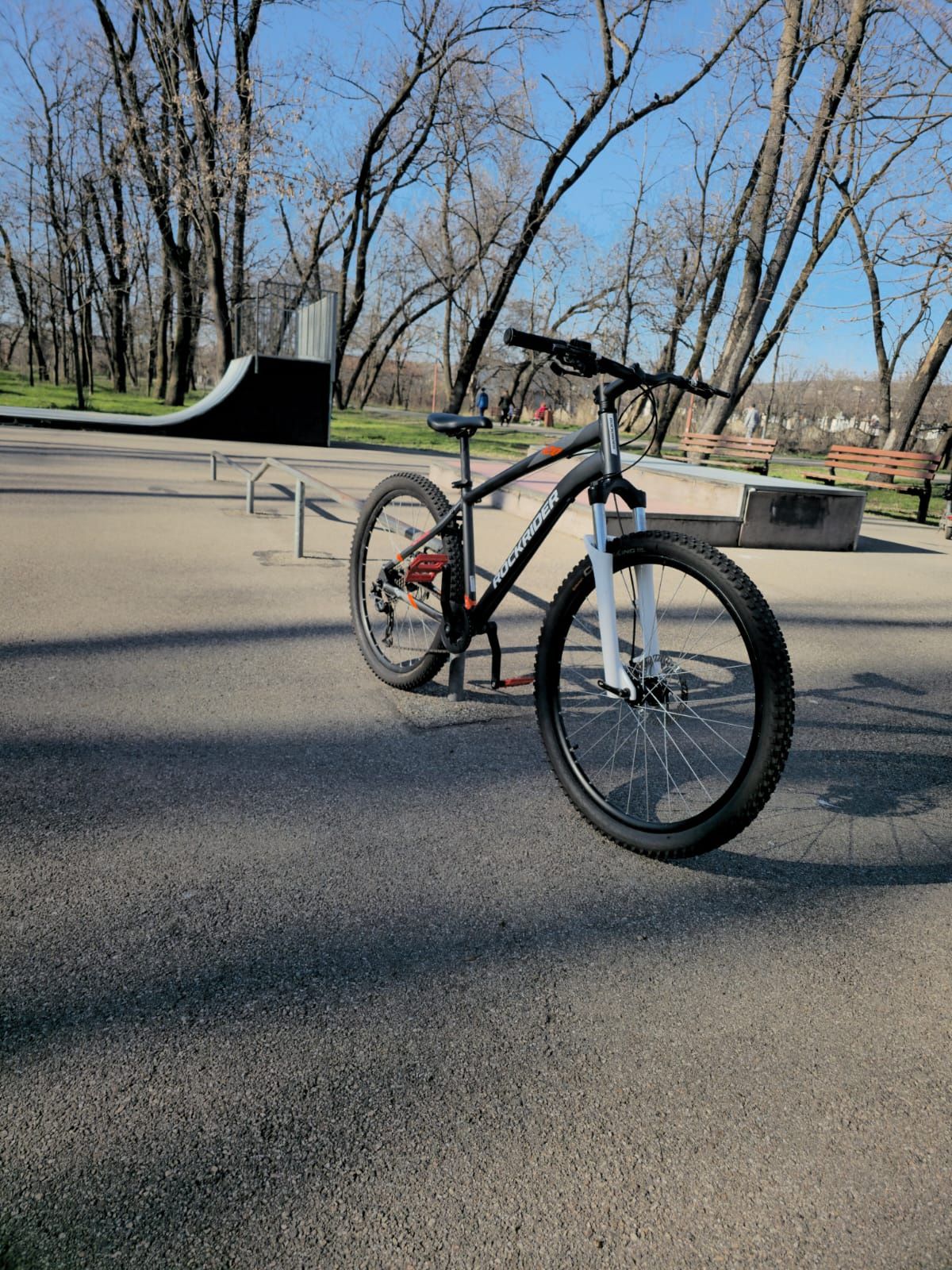 rock Rider st120