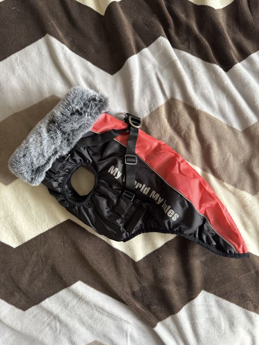 Одежда для собак