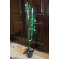 Эуфорбия 83 см молочай трехгранный комнатные  денежное дерево кактус