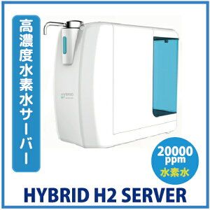 Filtru apa HYBRID H2 Server