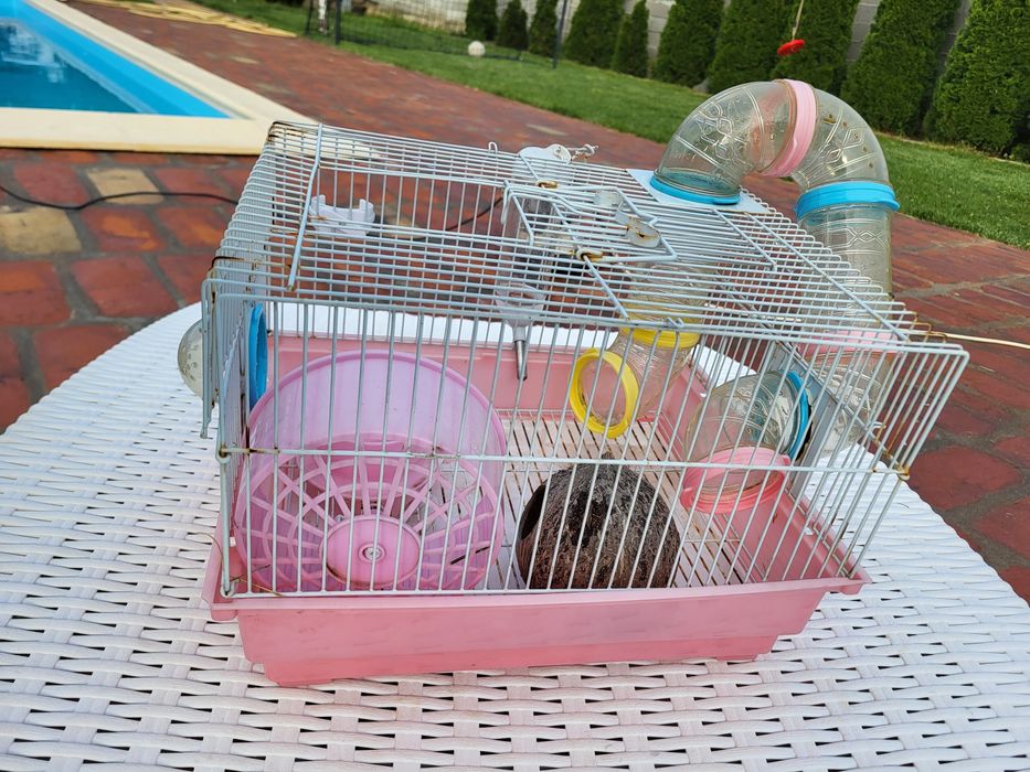 Vand cusca hamsteri