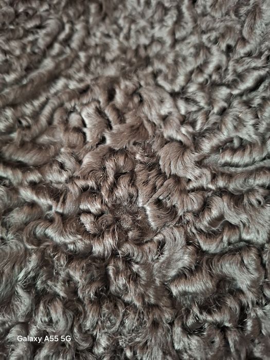 Каракуль шикарный