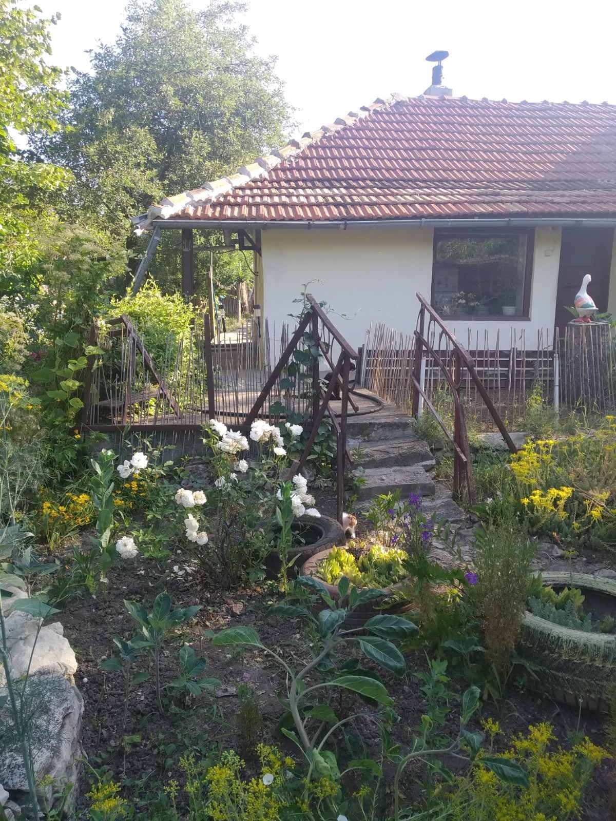 Къща в село Ушинци