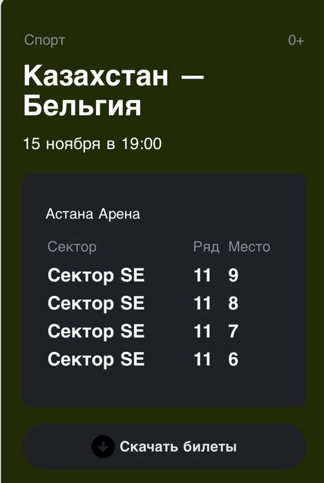 Билет на матч Казахстан Бельгия