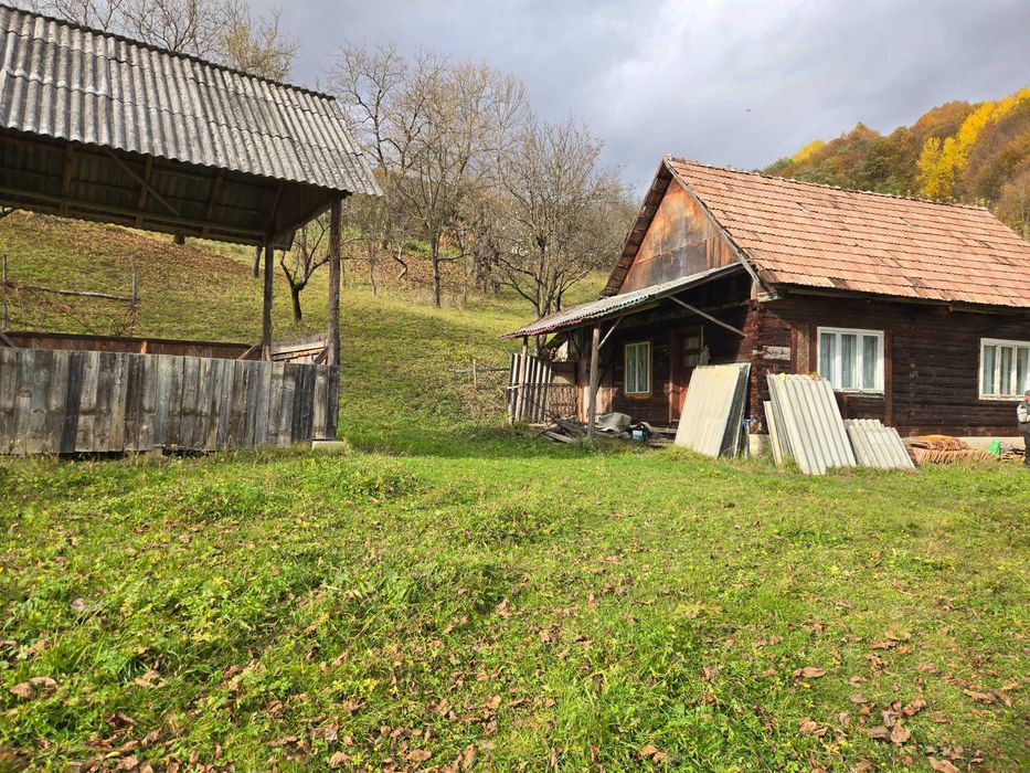 Vand teren livada viseu de jos