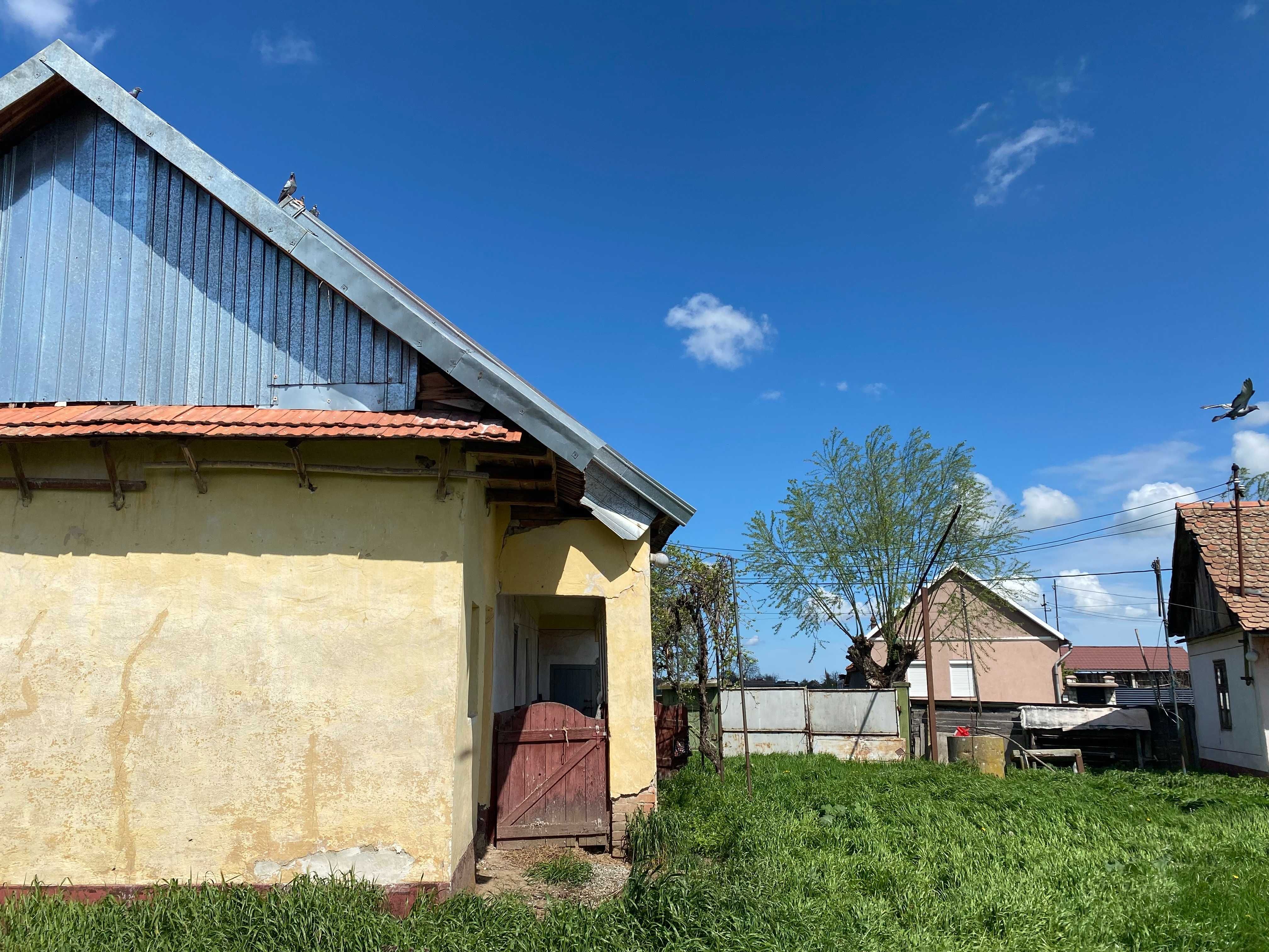 Casă de vânzare Sânnicolau Român, Bihor, 35.000 euro. NEGOCIABIL