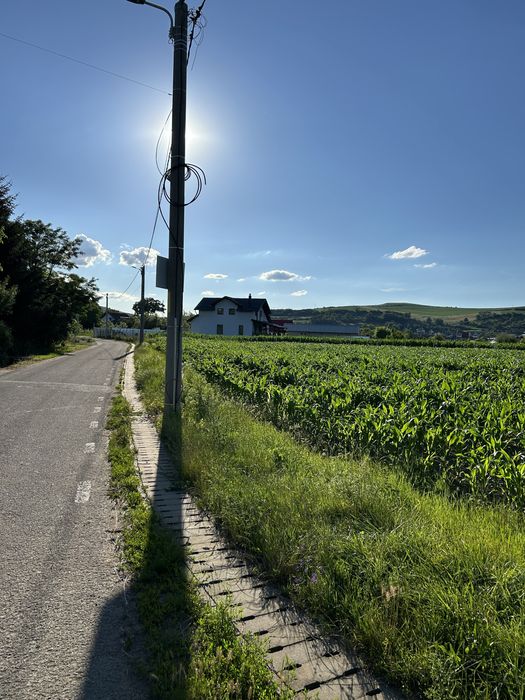 Teren intravilan 4183mp Santana de Mures Str. Pasunii