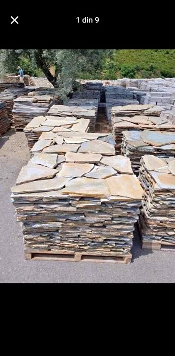 Piatră naturală de munte și plante ornamentale