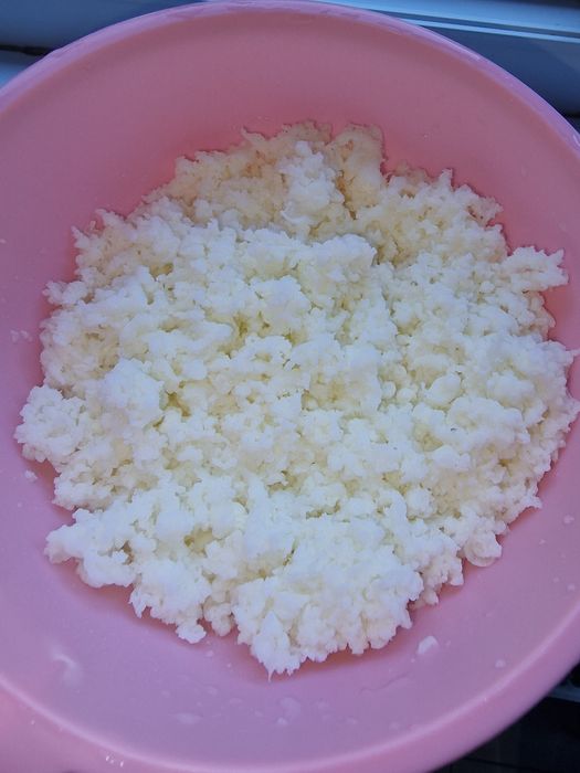 Ciupercă (kefir) tibetană (1 lingură 10 lei)