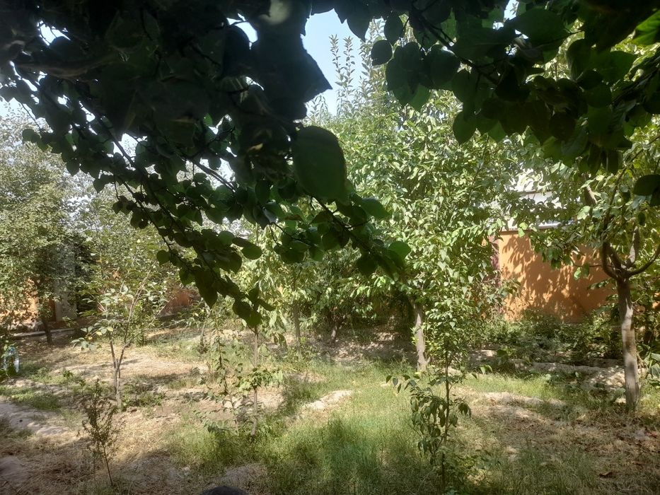 6 сотихли катеж срочна сотилади