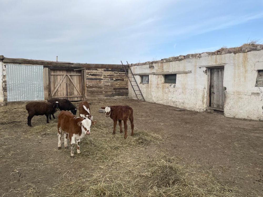 Продается дом в селе Майкобе(ЦЭС)