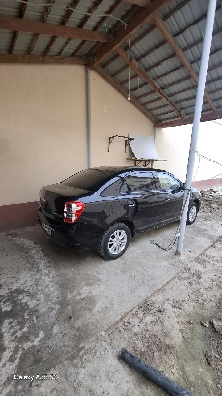 COBALT LTZ Darkmon Blue 2024