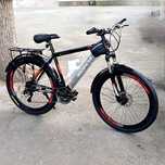 Kattalar uchun velosiped 26