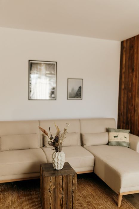 Canapea extensibila , am doua bucați , dimensiuni 256*149*88