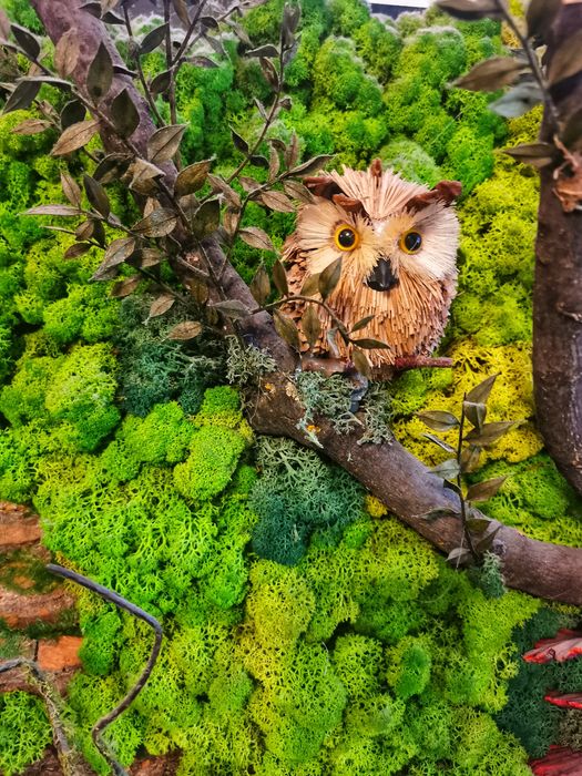 Vând tablou licheni