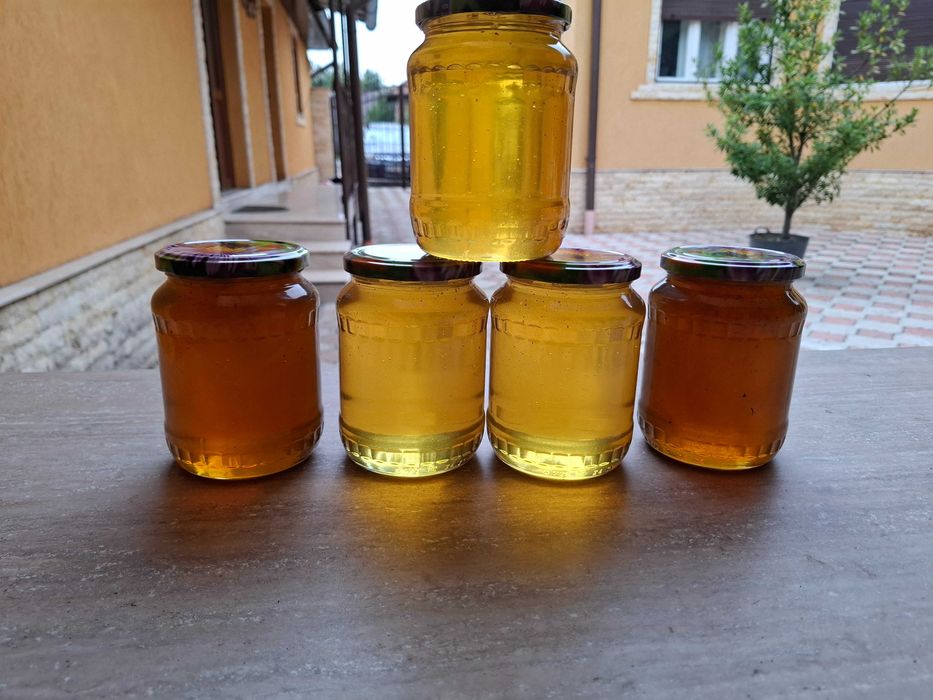 Vând miere de albine producție proprie angro (salcâm și tei)