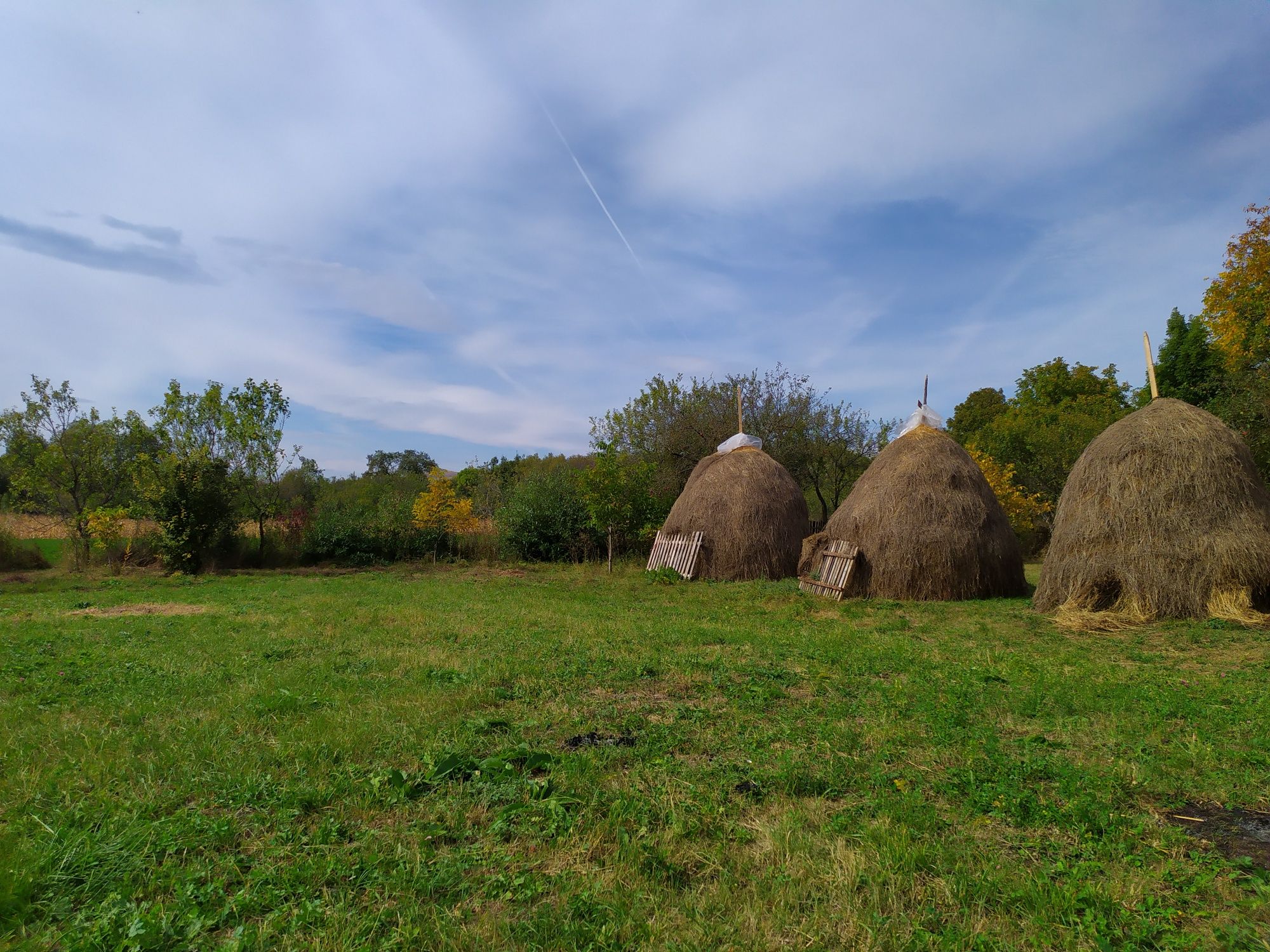 Vand Fan Otava gradina Bio capita balot furaje animale cal oi bovine