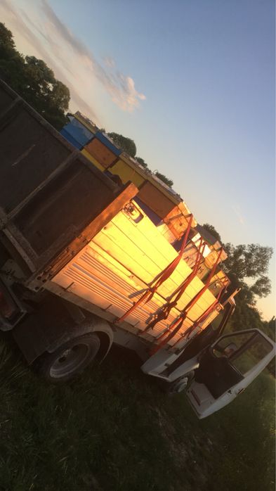 Vând 2 ford transit basculabile