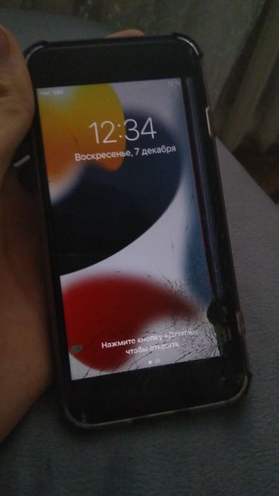 Айфон 7 единственный