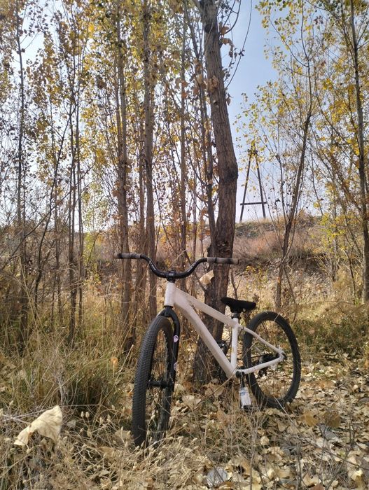 Продаю стрит байк