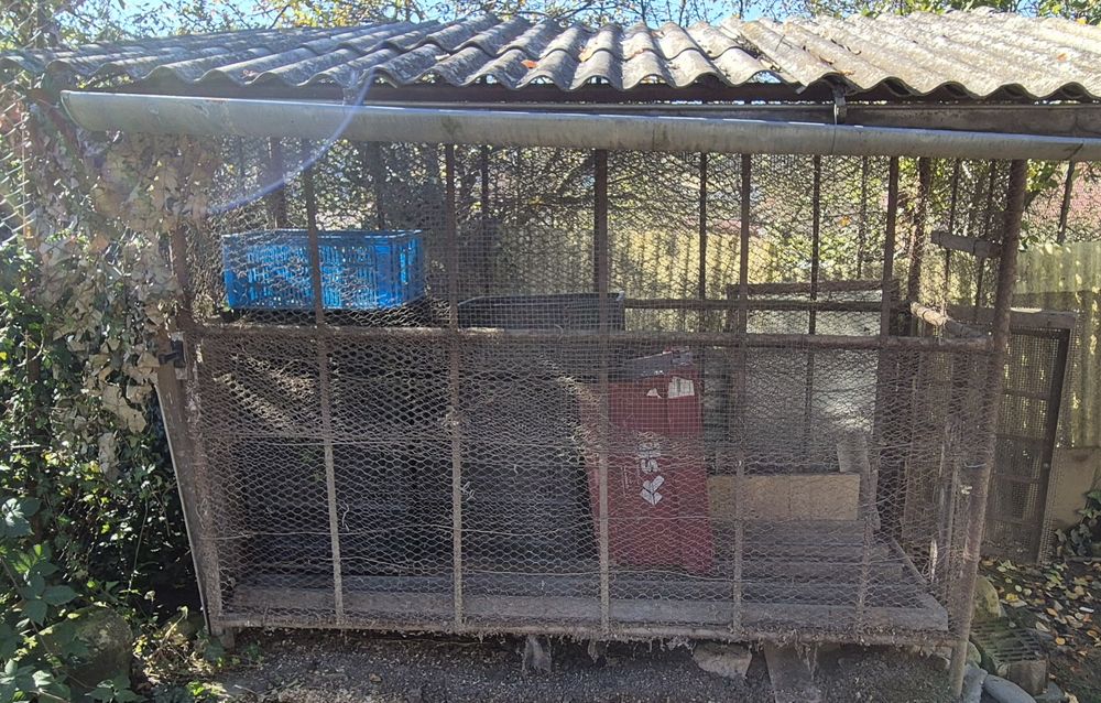 Vănd Costei din metal pentru  porumb