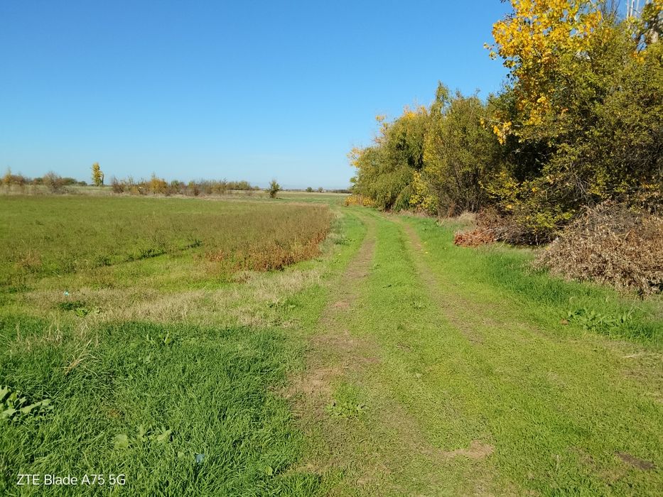Земеделска земя трета категория в началото на с Конуш