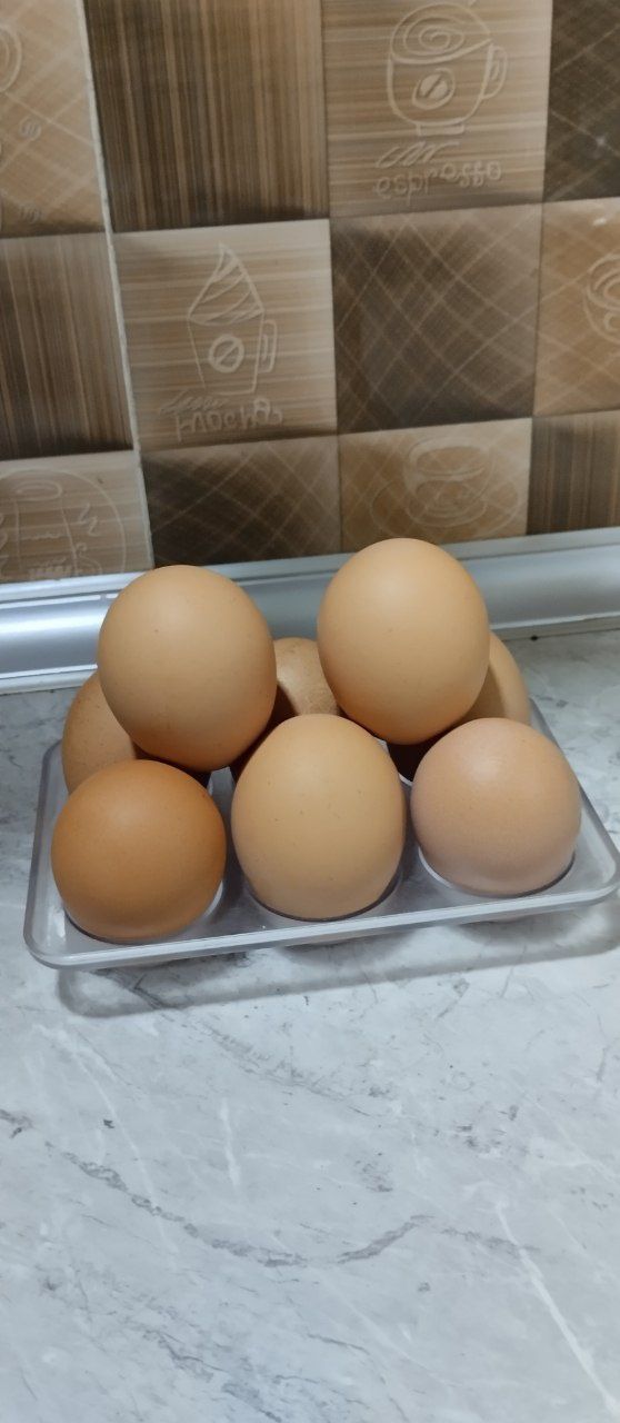Домашние куриные яйца
dmashniye kurinyye yaytsa