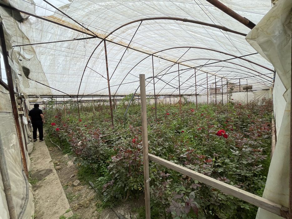 Yer sotiladi tayyor biznes 8 sotix