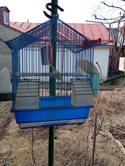 Colivie pentru peruș