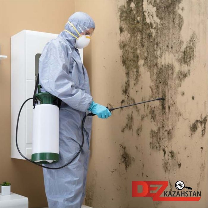 DEZ-Kazahstan.Дезинфекция от вирусов.СЭС Уничтожение клопов,тараканов.