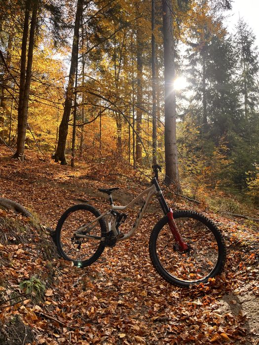 Ctm mons race full suspension downhill