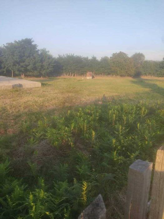 Teren intravilan cu fundație și fântână proprie, Zăvoi – Caraș