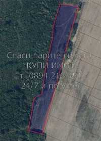 Нива 19дка на около 2км от с. Пъдарско - код 61474