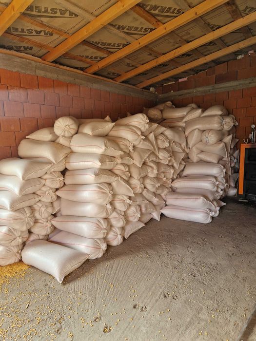 Porumb cu transport gratuit la 1.4 kg va servim la domiciliu daca