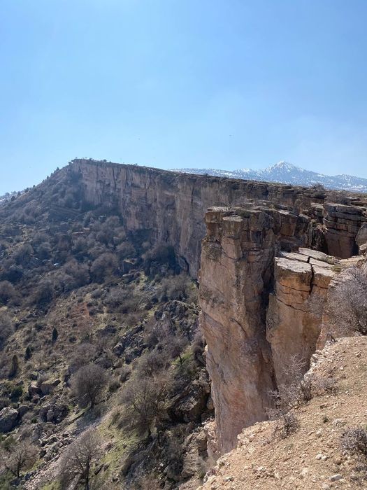 Туры из Ташкента в горы Тянь -шаня