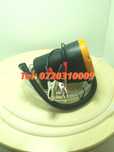 Pompa Electrica Pentru Ulei 60w 12v
