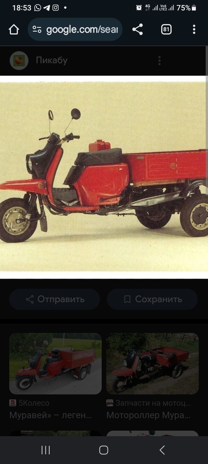 Муравей Тула 1997