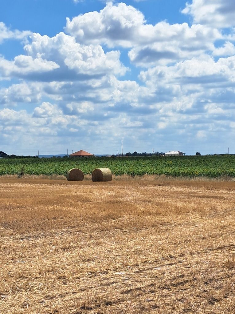 Vând 2 ha teren parcelabil Livada de Bihor