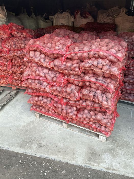 Cartofi consum recent ambalat