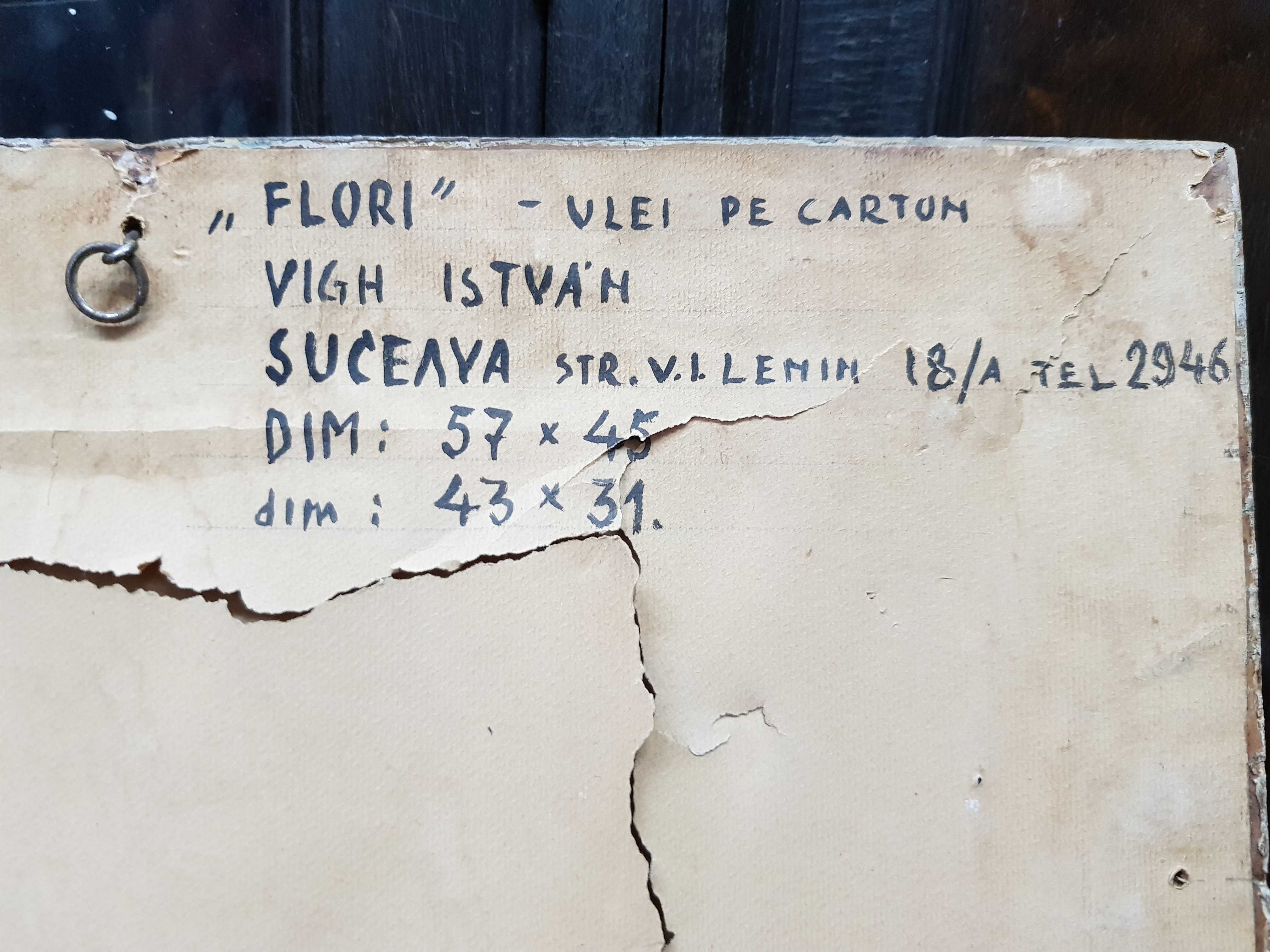 VIGH ISTVAN - Flori - Ulei Pe Carton, Suceava 57/45cm (43x31)