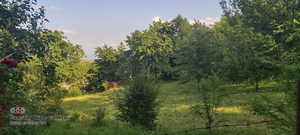 Teren de vanzare