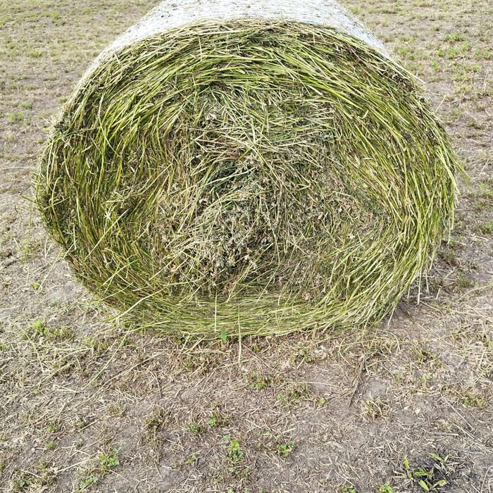 Baloti:Lucerna.Trifoi.Fan.Lolium.Rotunzi min 40.Drept.500.Trans.inclus
