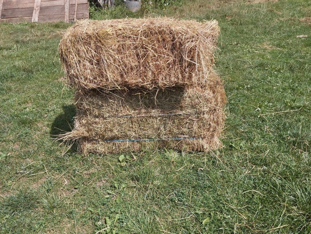 Vând baloți fân de grădină