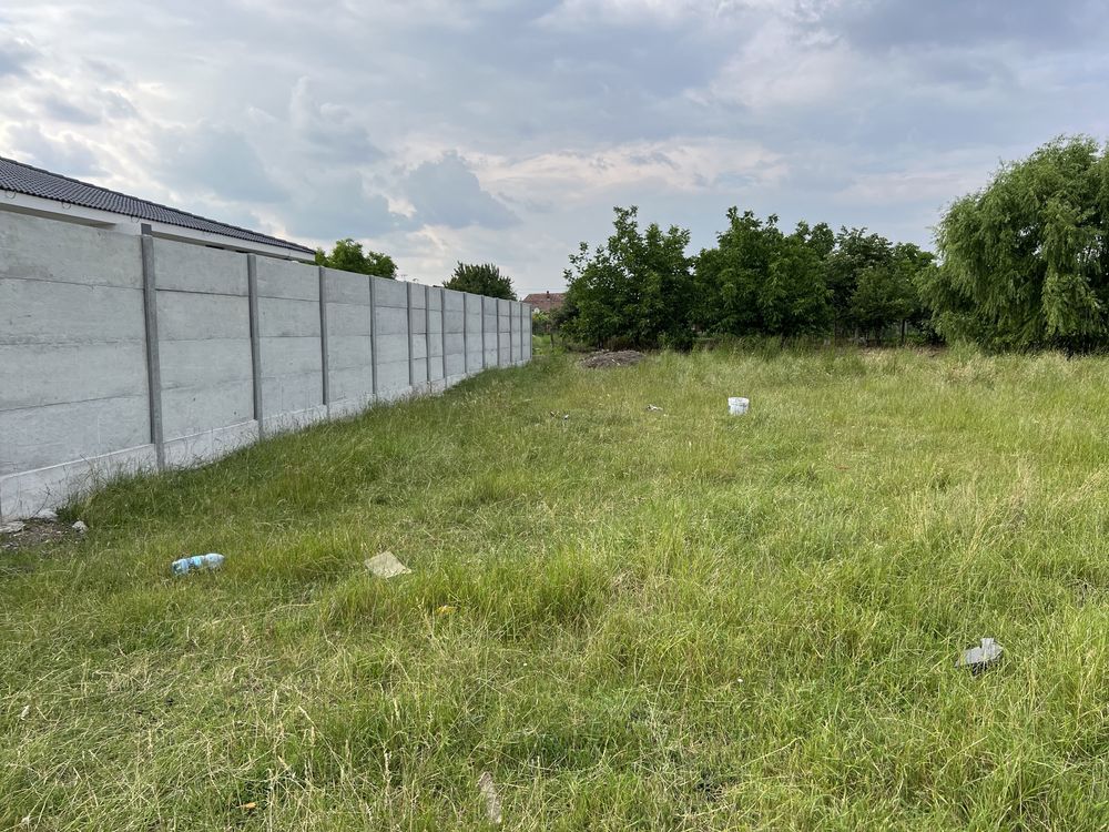 Vând teren casa in Becicherecu Mic