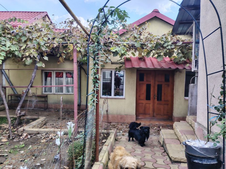 Casa de vânzare  in Medgidia