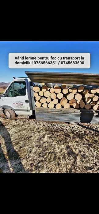 Lemn pentru foc , transport inclus