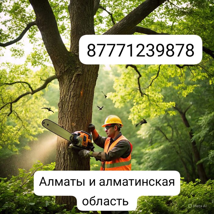 Спил деревьев. Агаш кесу